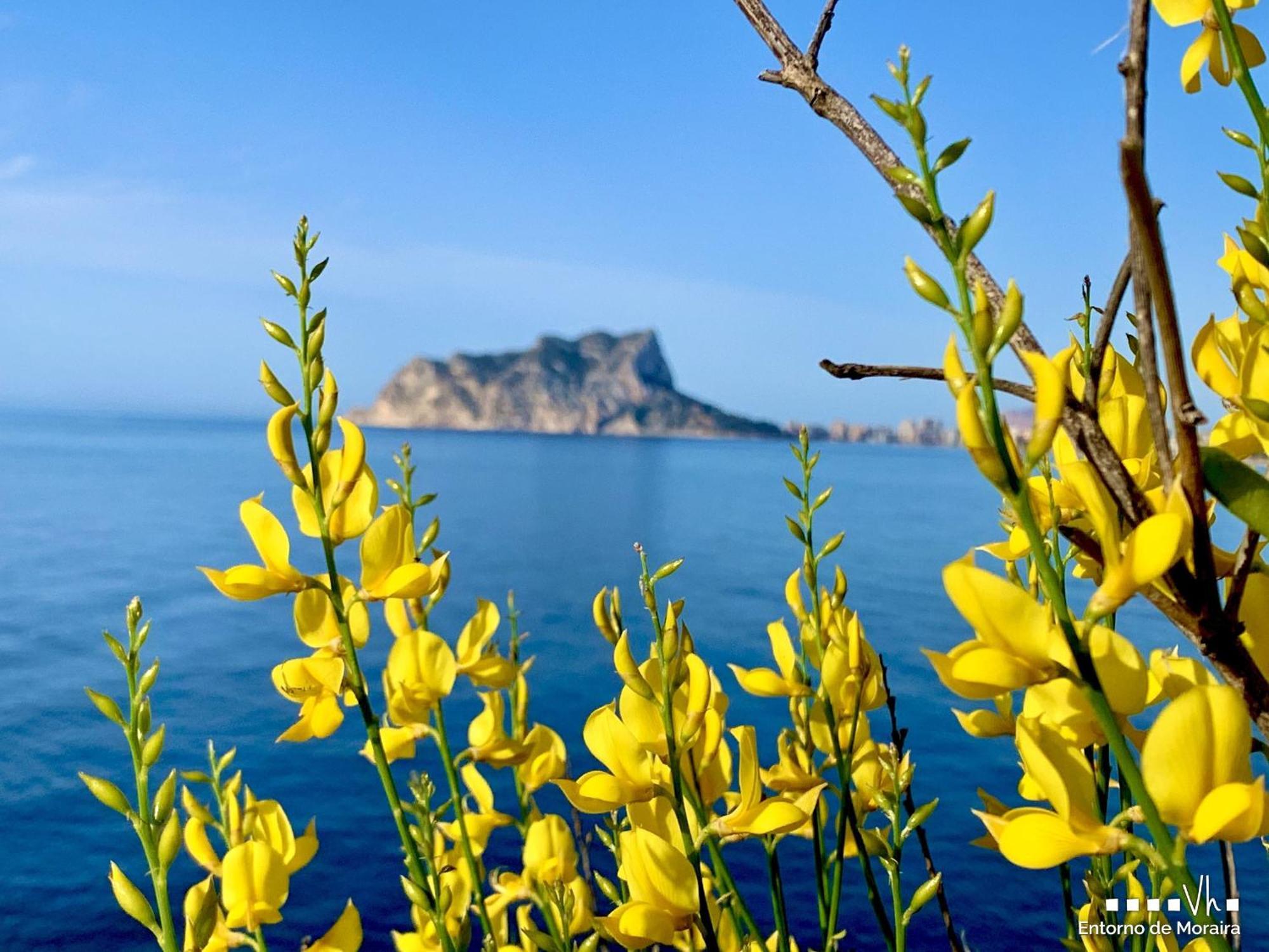 Vh Costablanca - Apartamento Riviera モライラ エクステリア 写真